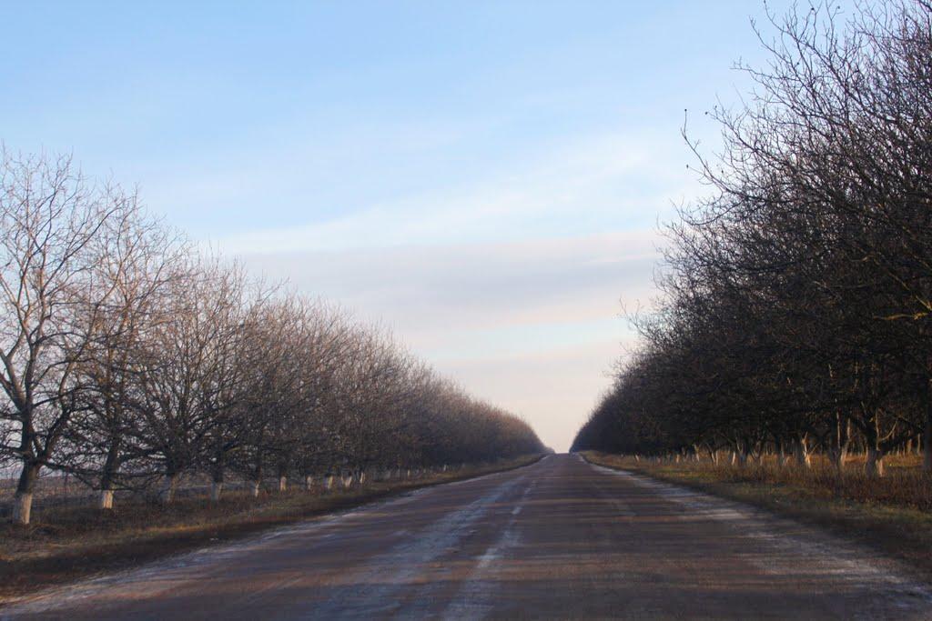 Шляхова з panoramio.com - Шляхова