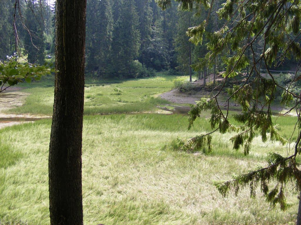 Синевирська Поляна з panoramio.com - Синевирская Поляна