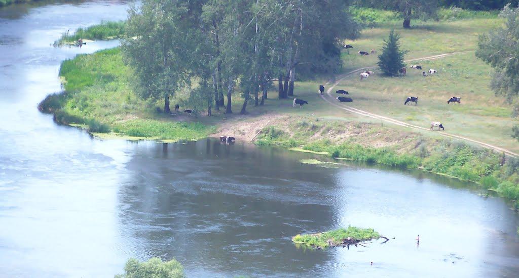Ізюм з panoramio.com (ч.2) - Ізюм