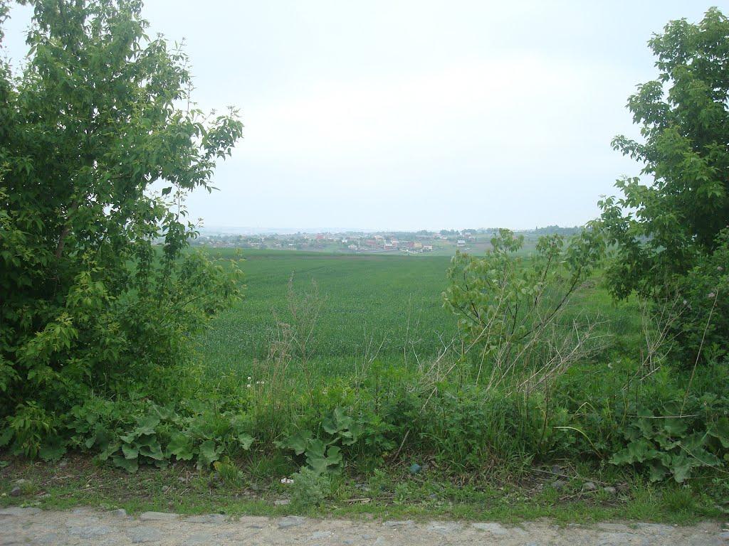 Мацьківці з panoramio.com - Мацьковцы