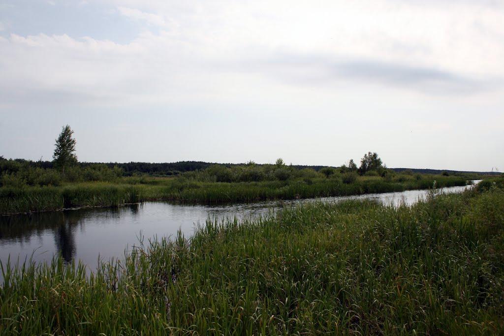 Селець з panoramio.com - Селець