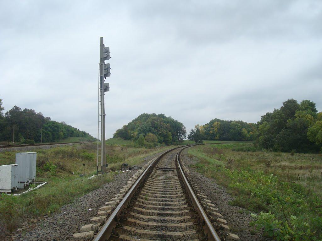 Воронківці з panoramio.com - Воронковцы