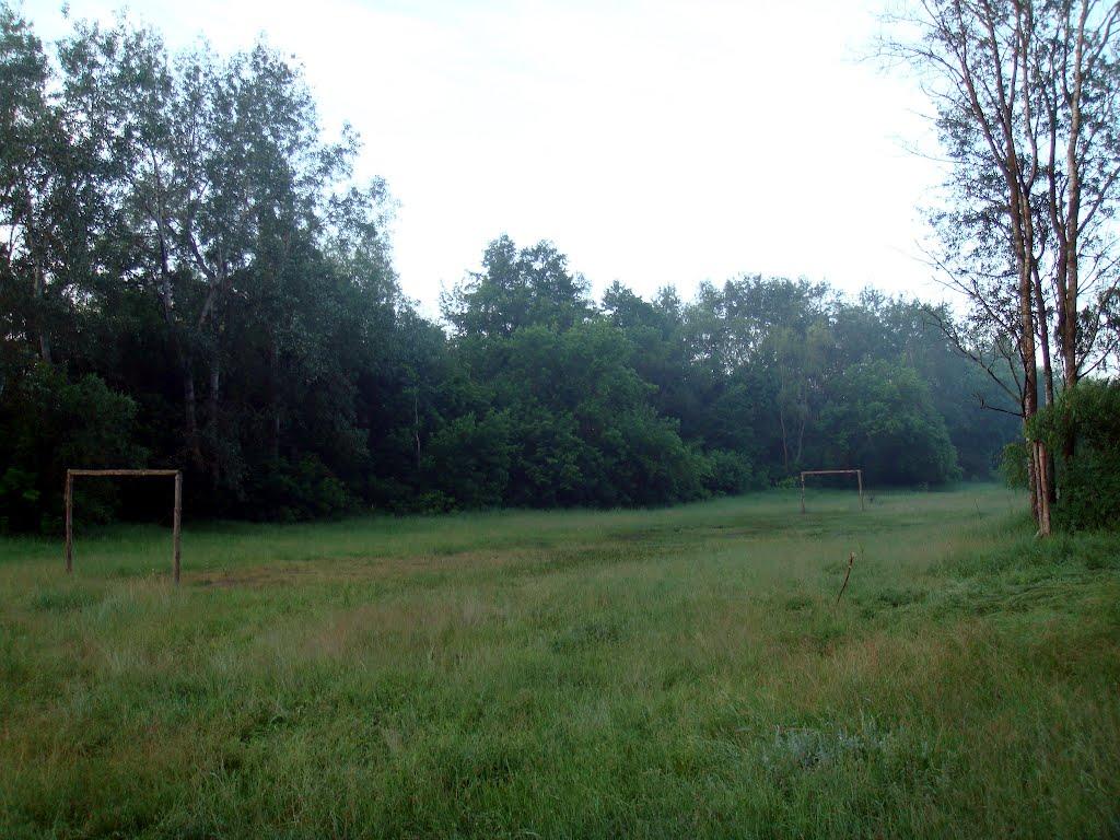 Курган з panoramio.com - Курган