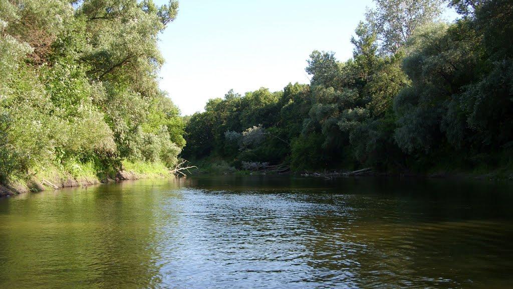 Юрки з panoramio.com - Юрки