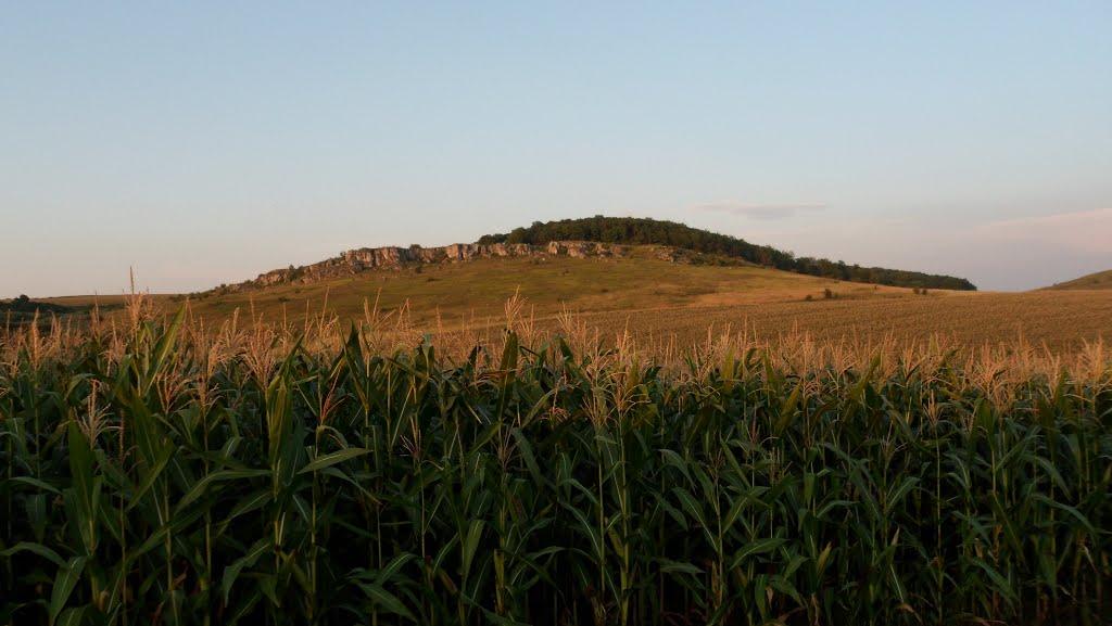 Остап'є з panoramio.com - Остапье