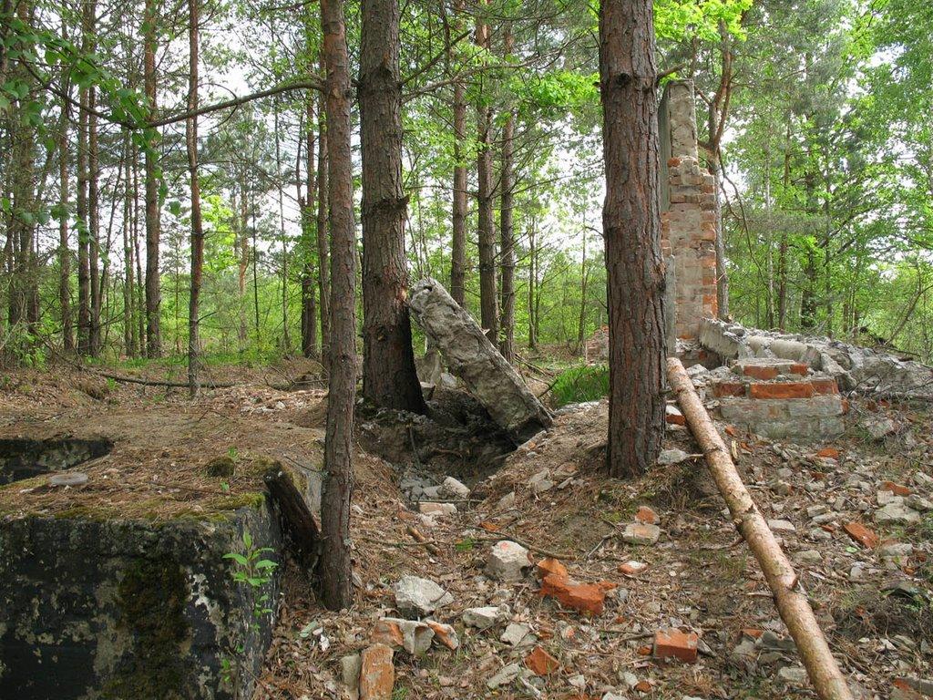 Висока Піч з panoramio.com - Висока Піч