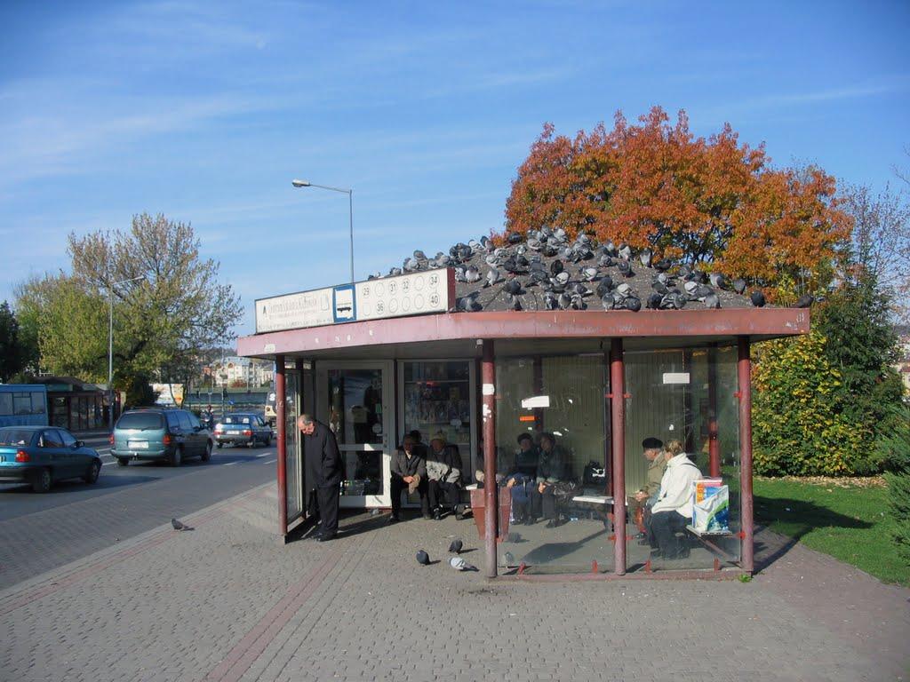 Вілюничі з panoramio.com - Вилюничи