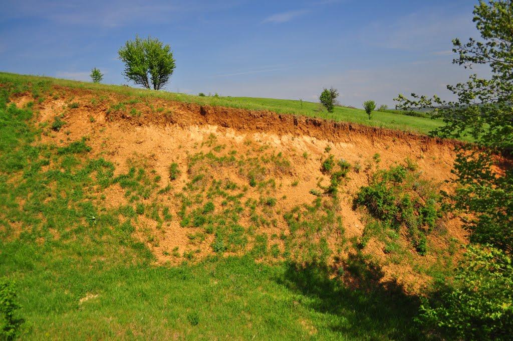 Гавронці з panoramio.com