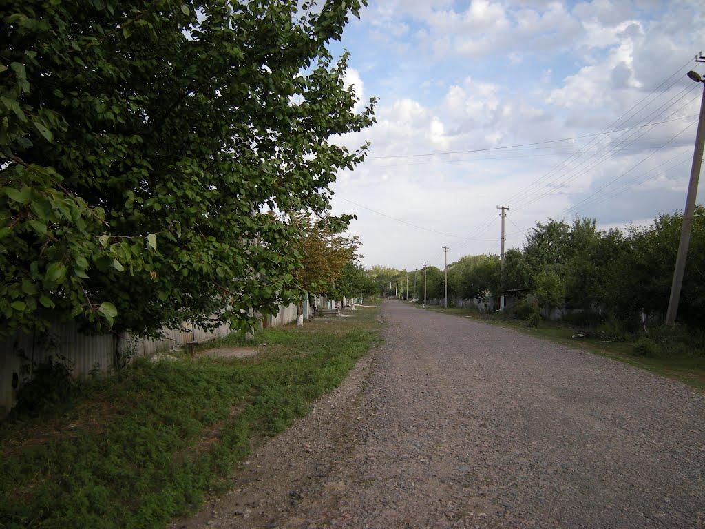 Іванівка з panoramio.com - Ивановка