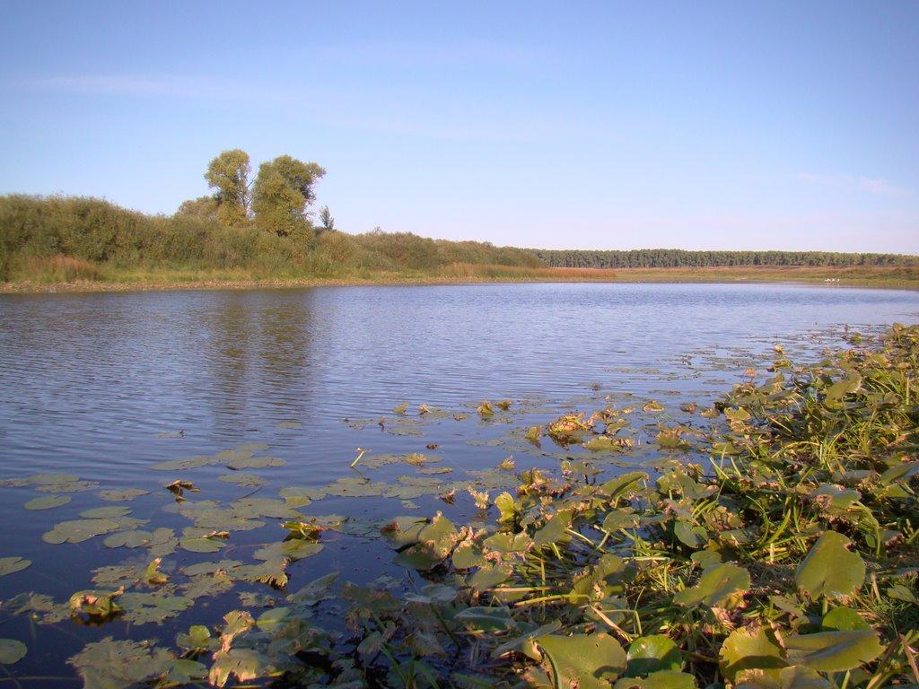 Максаки з panoramio.com - Максаки