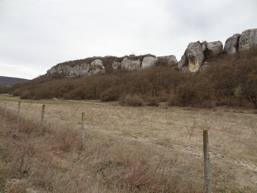 Тернівка з panoramio.com (ч.3) - Терновка