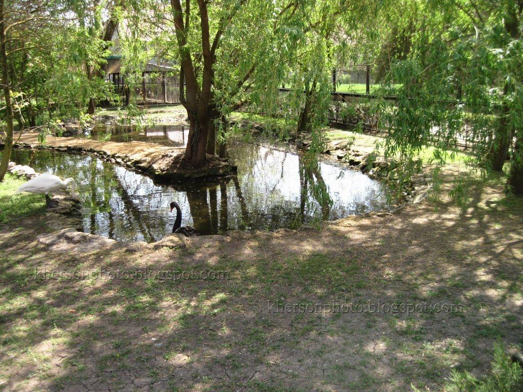 Асканія-Нова з panoramio.com - Асканія-Нова