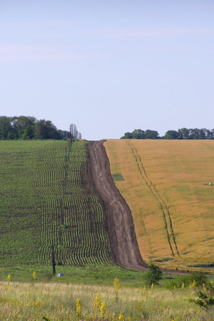 Березове з panoramio.com