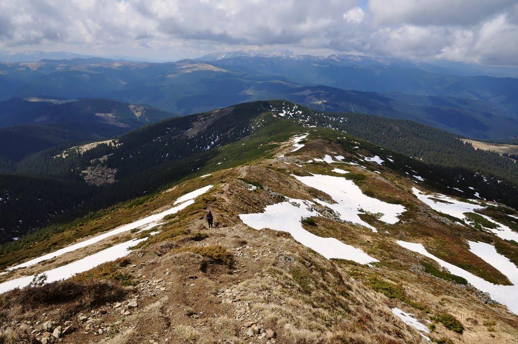 Берестечко з panoramio.com (ч.2) - Берестечко