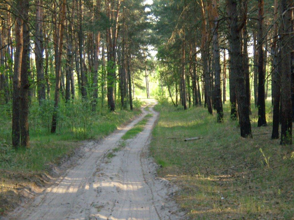 Погреби з panoramio.com (ч.3) - Погреби