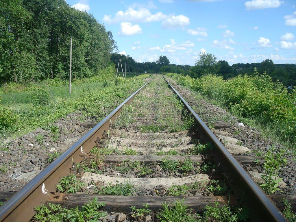 Нове Село з panoramio.com - Нове Село