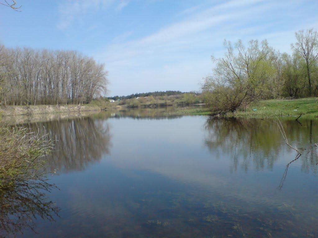 Саврань з panoramio.com - Саврань