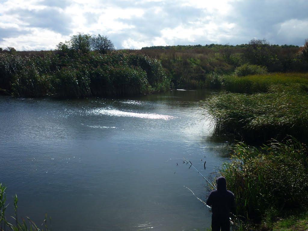 Василівське з panoramio.com - Василівське