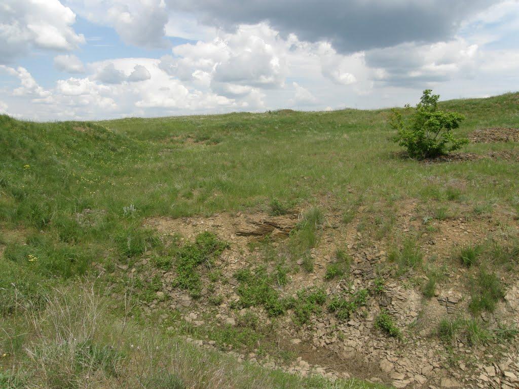 Верхньодеревечка з panoramio.com - Верхньодеревечка