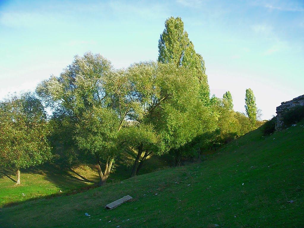 Трудове з panoramio.com - Трудове