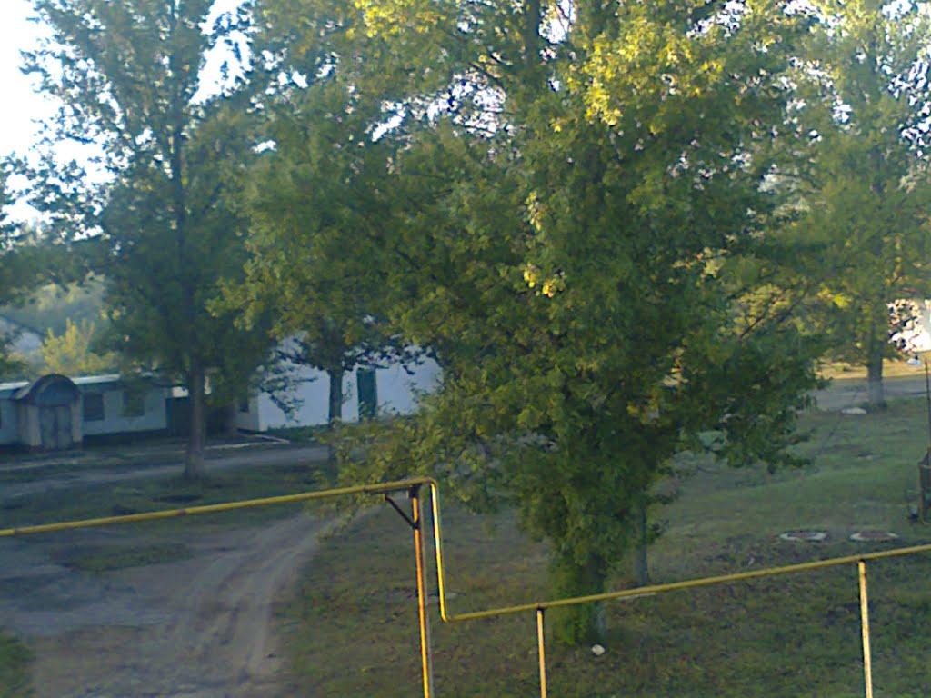 Кряківка з panoramio.com - Кряковка