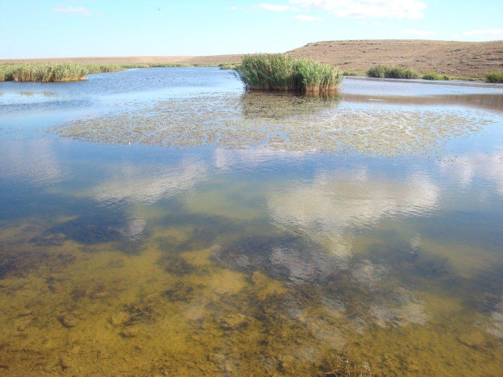 Красноярське з panoramio.com - Красноярське