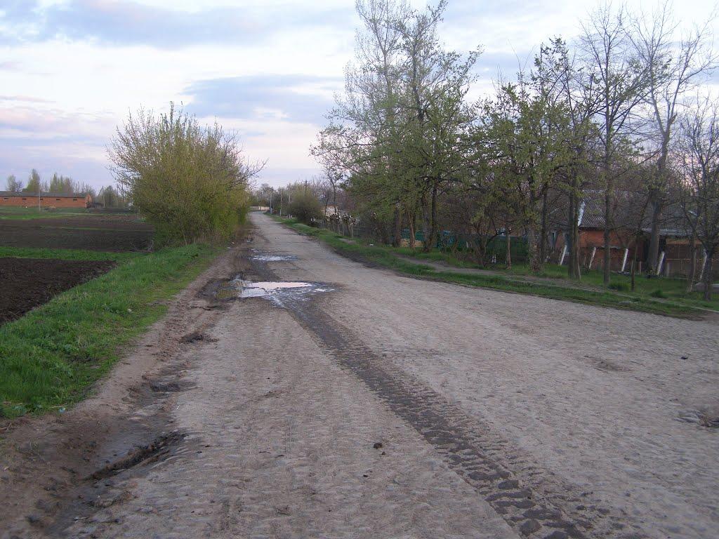 Теплик з panoramio.com - Теплик