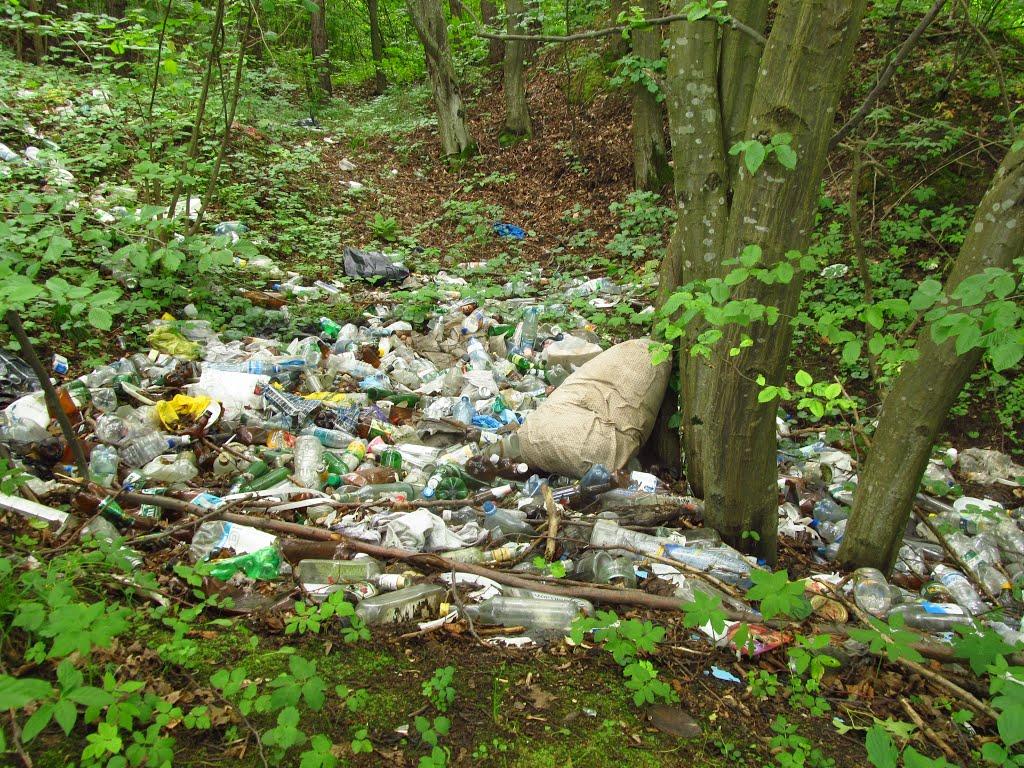 Маркова з panoramio.com - Маркова