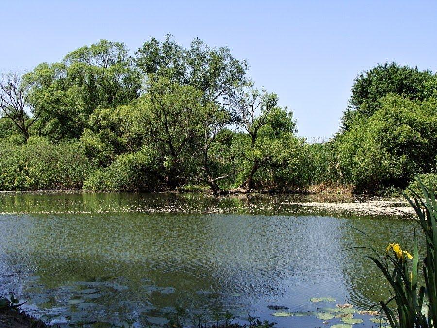 Розівка з panoramio.com (ч.2) - Розівка