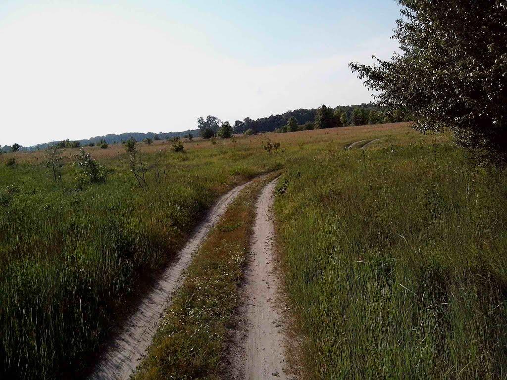 Приліпка з panoramio.com - Прилипка