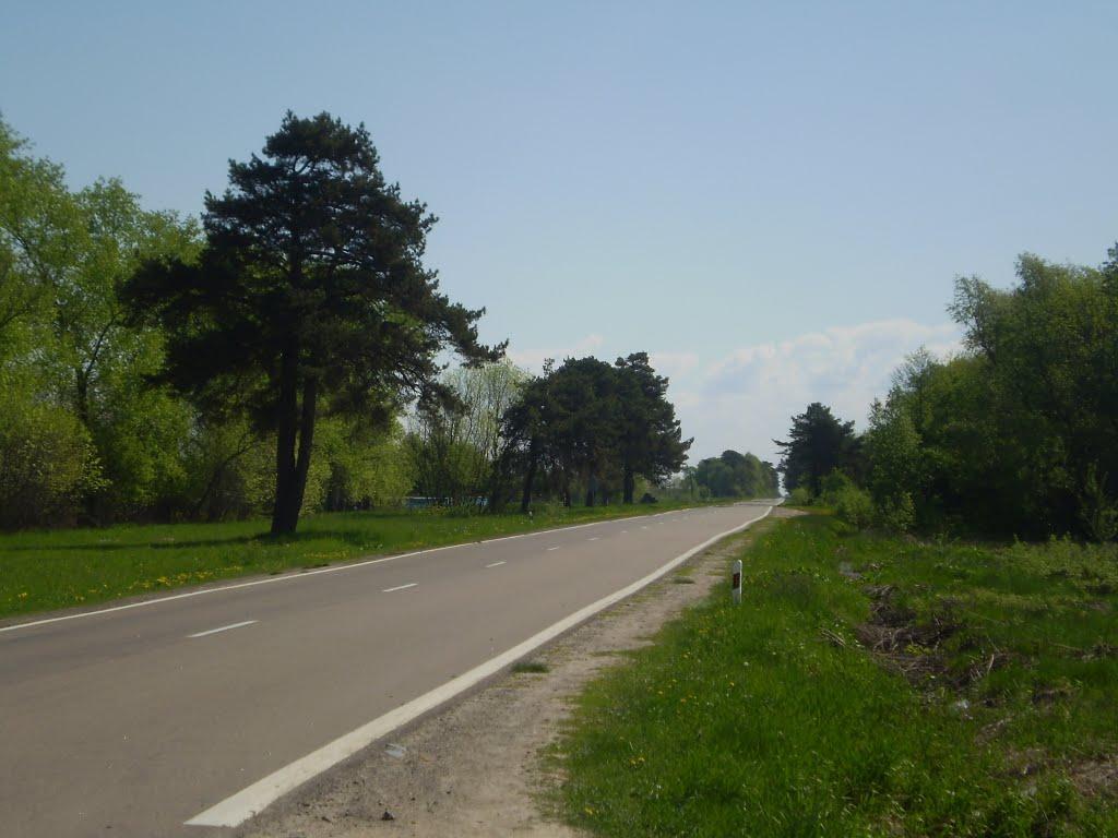 Пальче з panoramio.com - Пальче