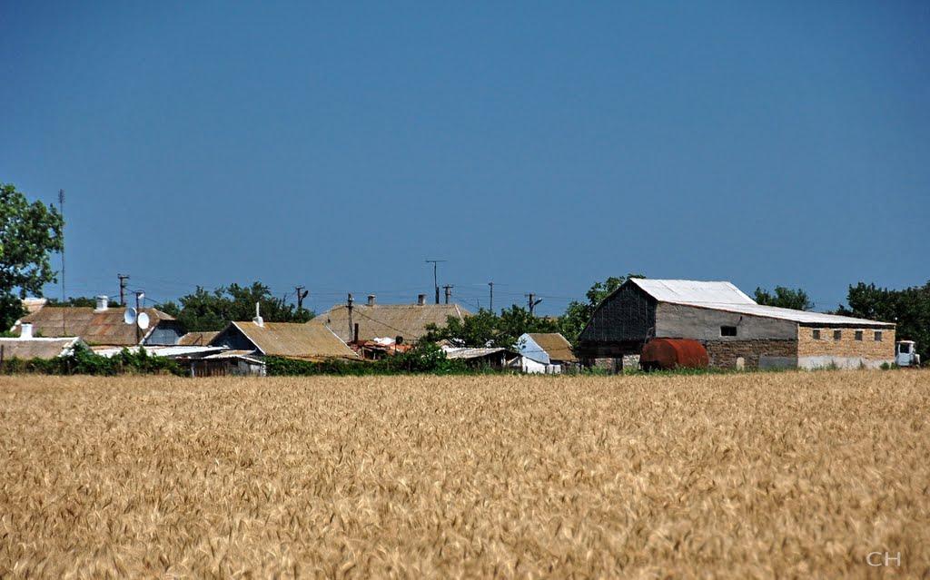 Салькове з panoramio.com - Сальково