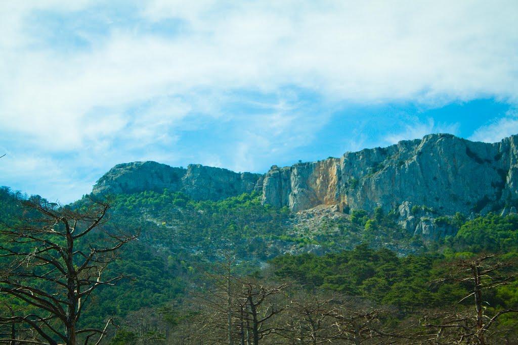 Голуба Затока з panoramio.com (ч.2) - Голубая Затока