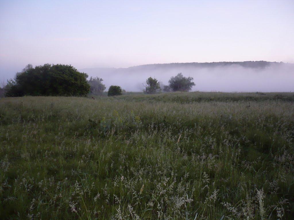 Кам'янка з panoramio.com - Каменка