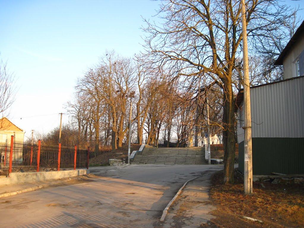 Горохів з panoramio.com - Горохов