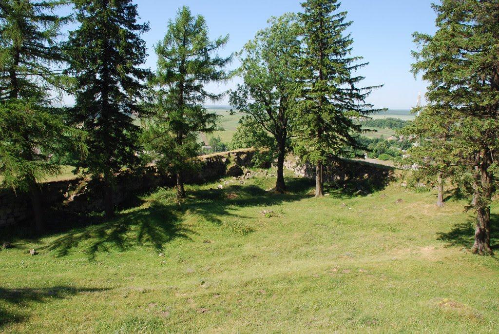 Підкамінь з panoramio.com - Подкамень