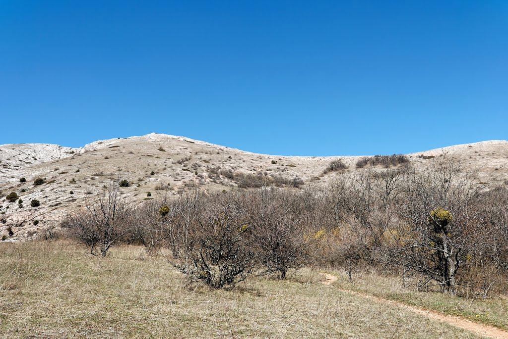 Чайковське з panoramio.com (ч.2) - Чайковське