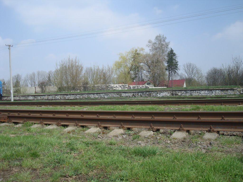 Кременчуки з panoramio.com - Кременчуки