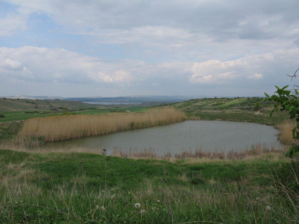 Олександрівка з panoramio.com - Олександрівка