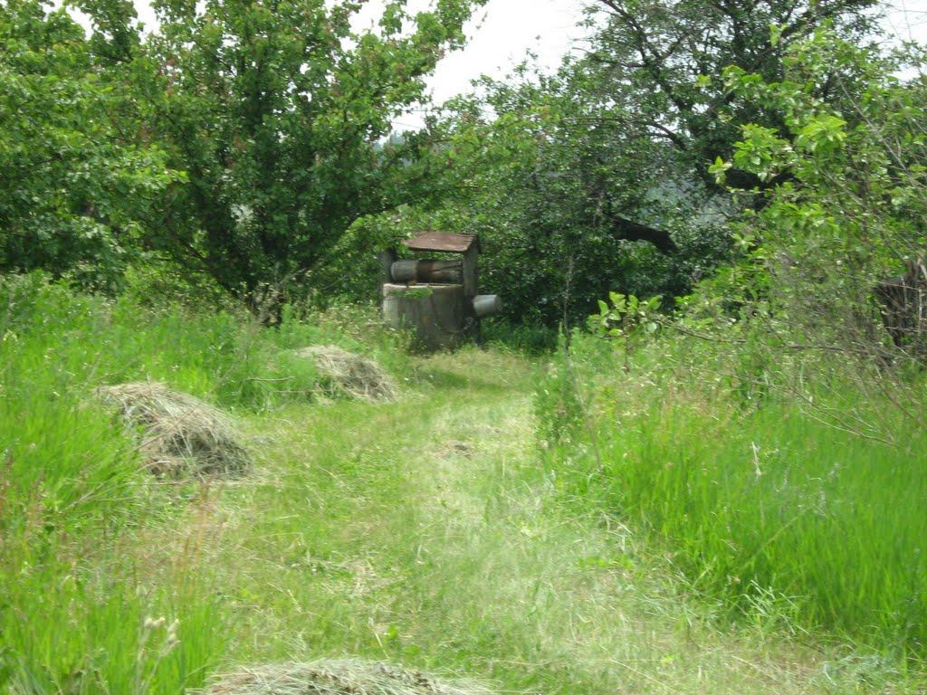 Пришиб з panoramio.com - Пришиб