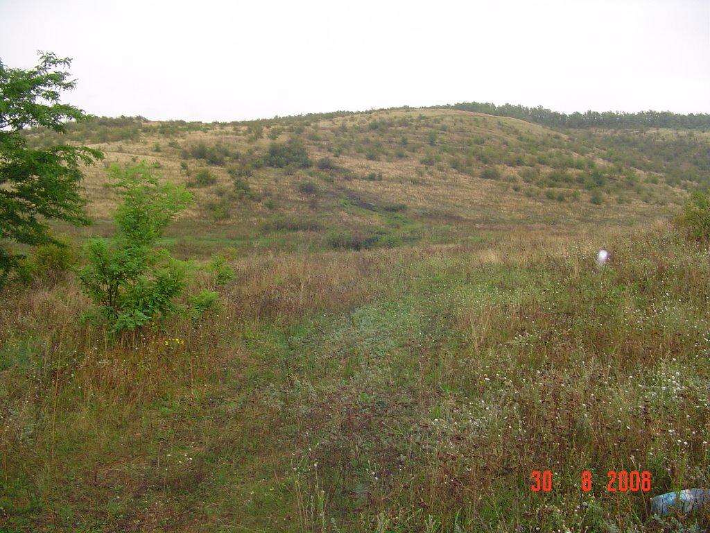 Ширяєве з panoramio.com - Ширяєве