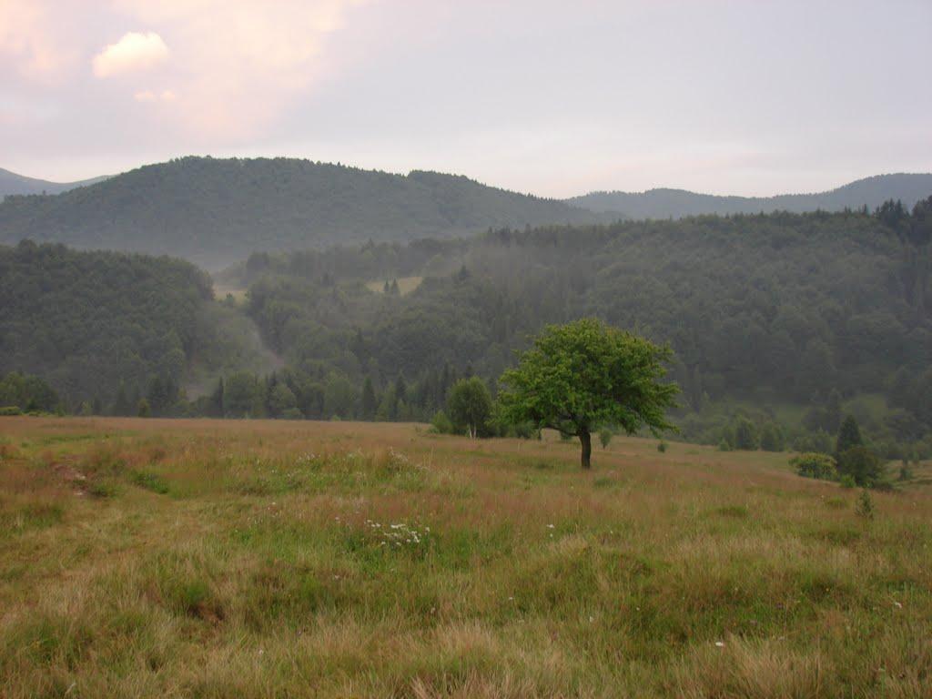 Люта з panoramio.com - Люта