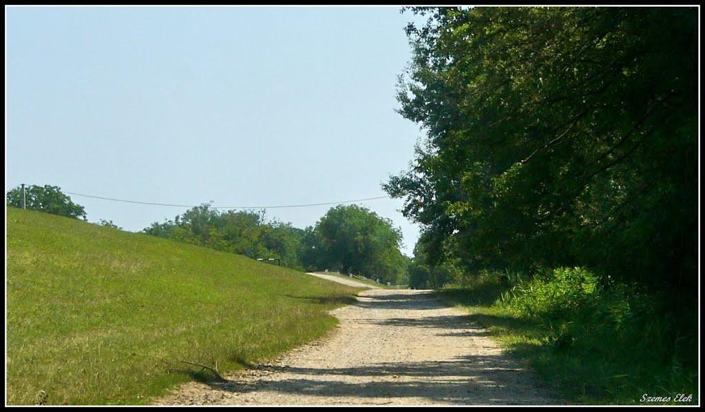 Галабор з panoramio.com - Галабор