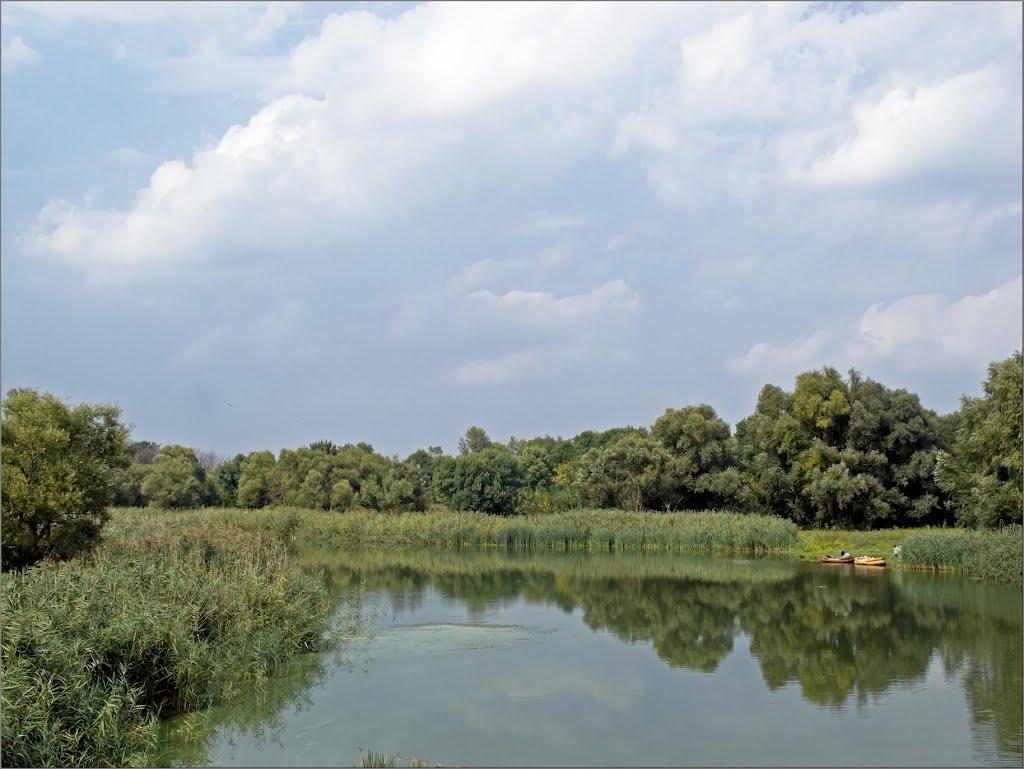 Новомануйлівка з panoramio.com - Новомануйлівка