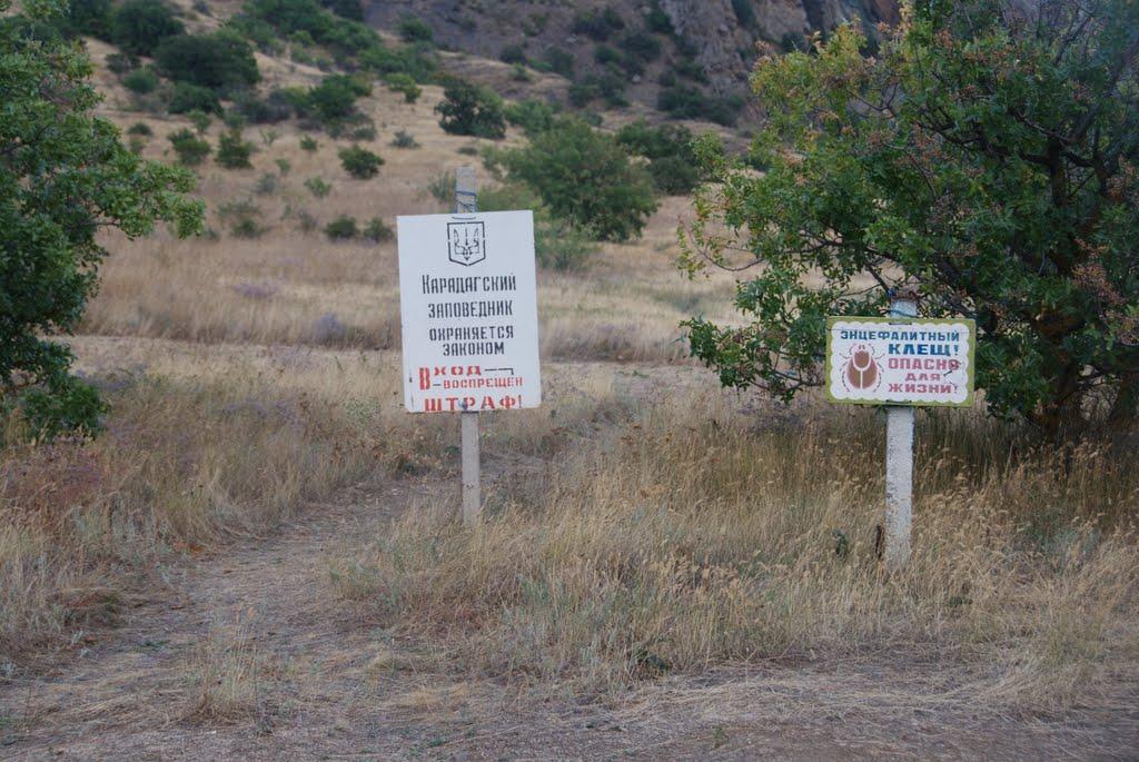 Щебетовка з panoramio.com (ч.2) - Щебетовка