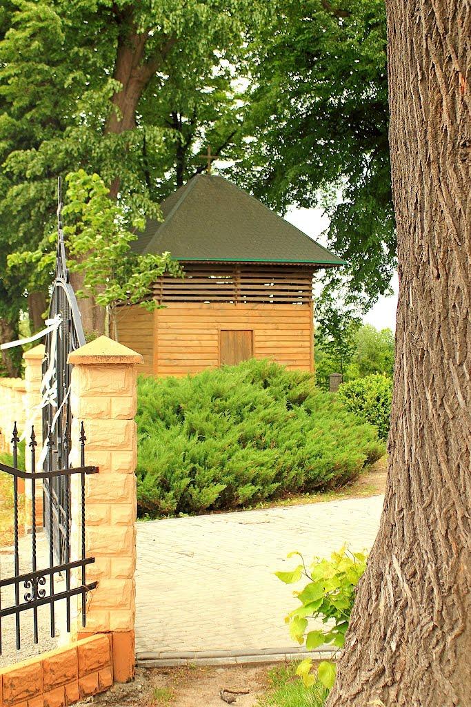 Буців з panoramio.com - Буців