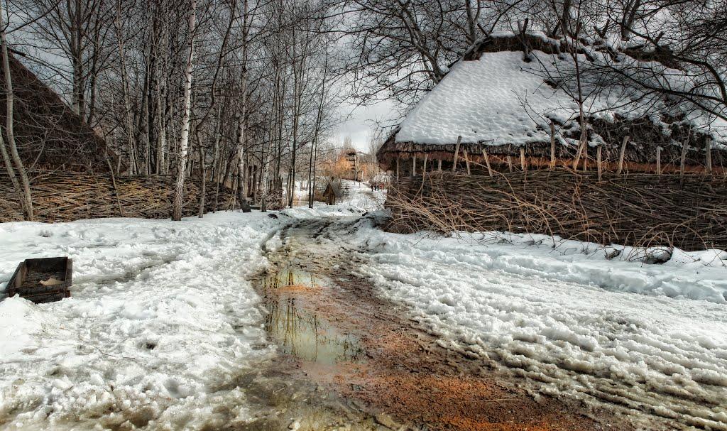 Софіївська Борщагівка з panoramio.com (ч.2) - Софиевская Борщаговка