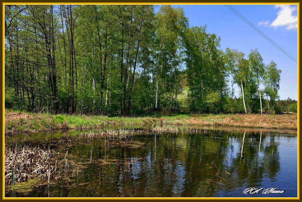 Дронівка з panoramio.com - Дроновка