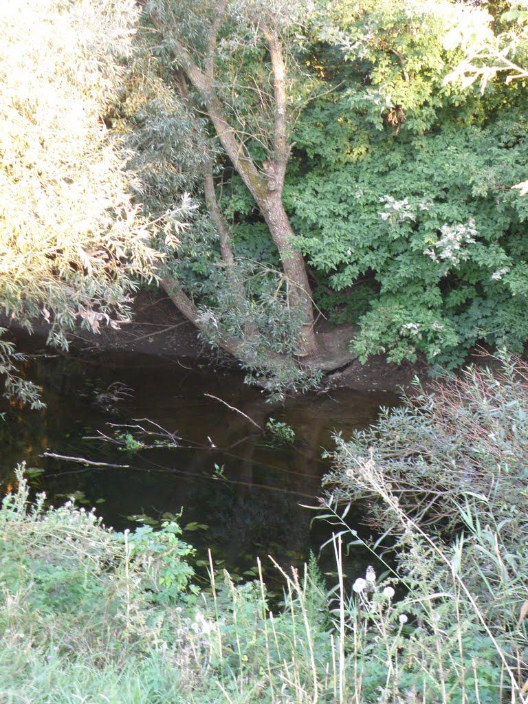 Саврань з panoramio.com - Саврань