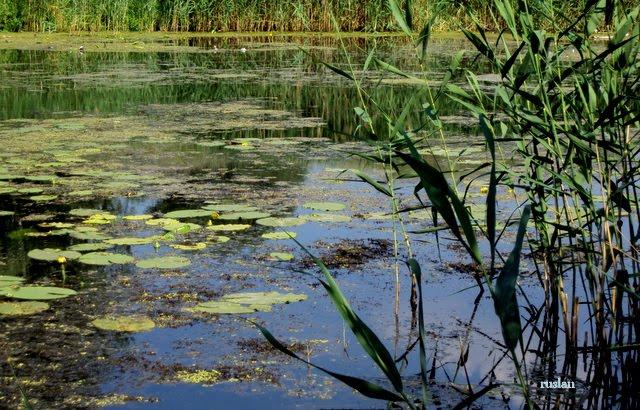 Дніпродзержинськ з panoramio.com (ч.4) - Дніпродзержинськ